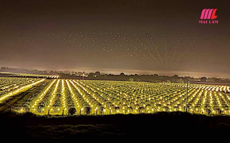 tinhocmailam.com tai sau nha vuon long an tien giang do xo lap den nang luomg mat troi 3