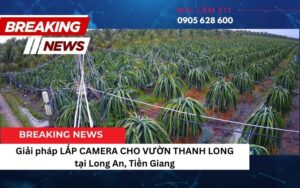 tinhocmailam.com co nen lap camera cho vuon thanh long tai long an tien giang 3