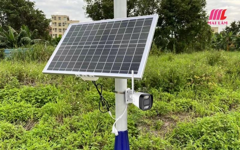 tinhocmailam.com co nen lap camera cho vuon thanh long tai long an tien giang 4.jpg