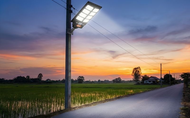Cơn sốt ĐÈN NĂNG LƯỢNG MẶT TRỜI tại vườn Long An - Tiền Giang 4 tinhocmailam.com den nang luong mat troi